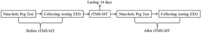 The Effects of rTMS Combined with Motor Training on Functional Connectivity in Alpha Frequency Band